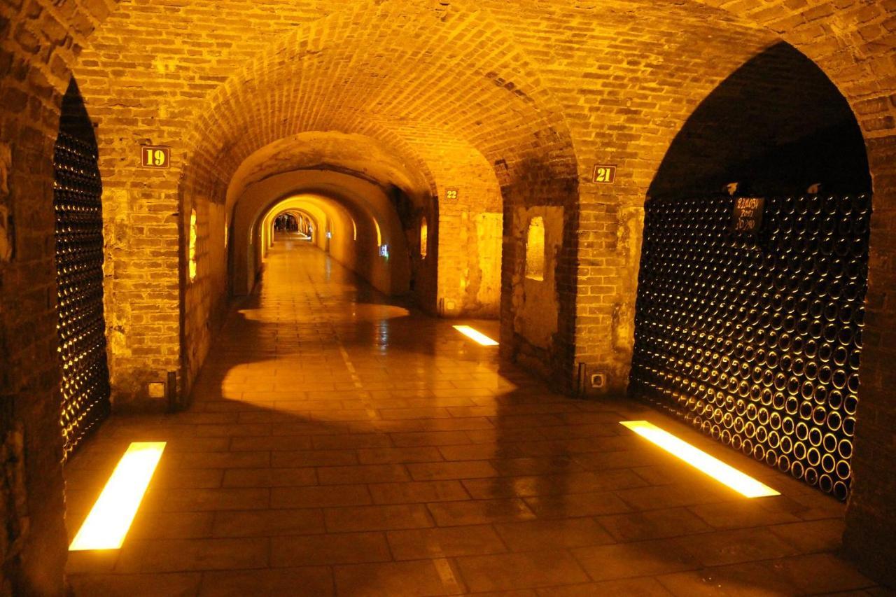 Hotel De Champagne Epernay Bagian luar foto